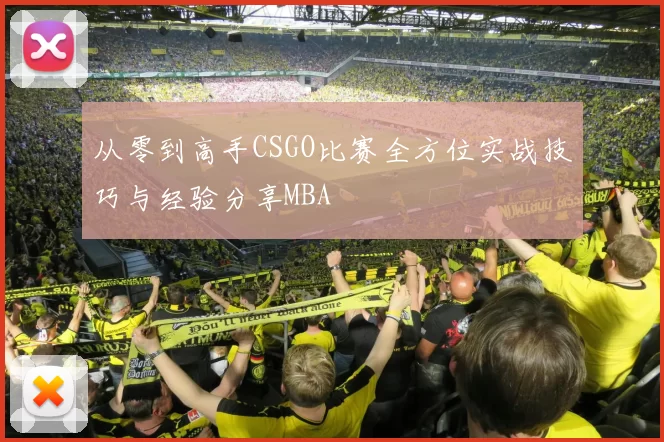 从零到高手CSGO比赛全方位实战技巧与经验分享MBA