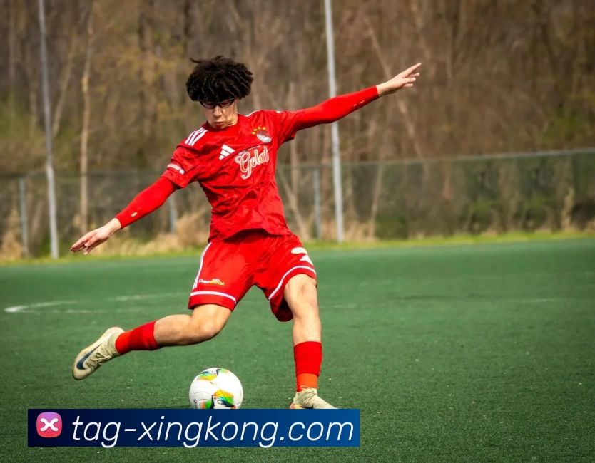 xk星空平台生态图